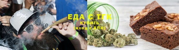 гидра Богородицк