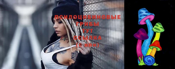 дживик Беломорск