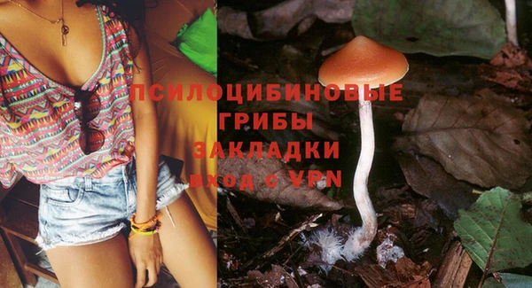 синтетический гашиш Богданович