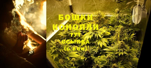 гидра Богородицк