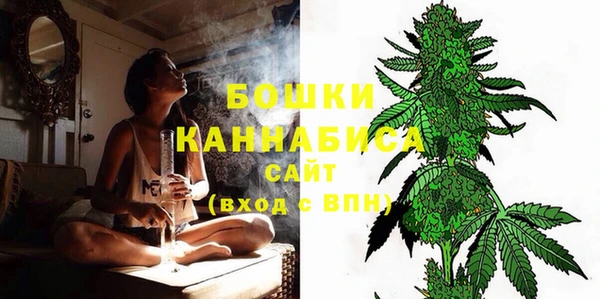 гидра Богородицк