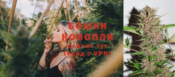 дживик Беломорск