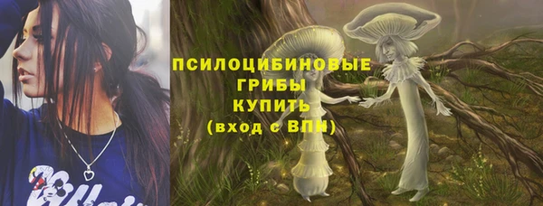 дживик Беломорск