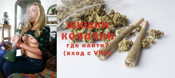 гидра Богородицк