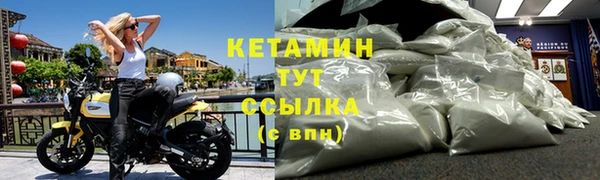 гидра Богородицк