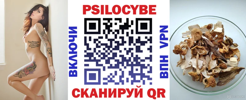 МЕГА ССЫЛКА  купить закладку  Городец  Галлюциногенные грибы мухоморы 